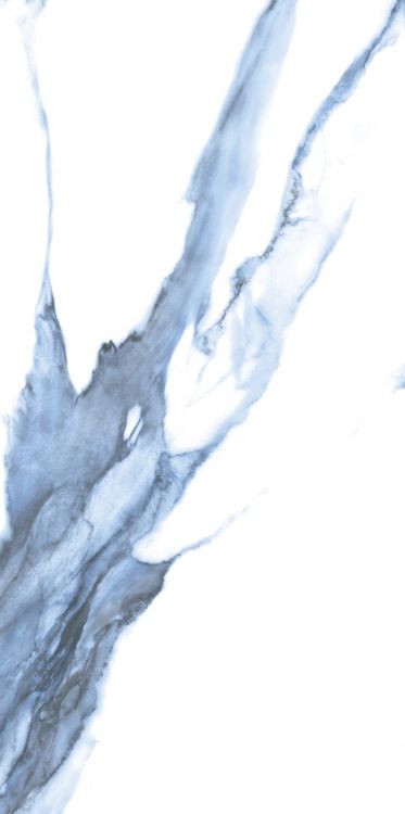 Calacatta Blue Matte 12 x 24